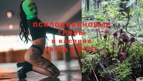 СК Лиски