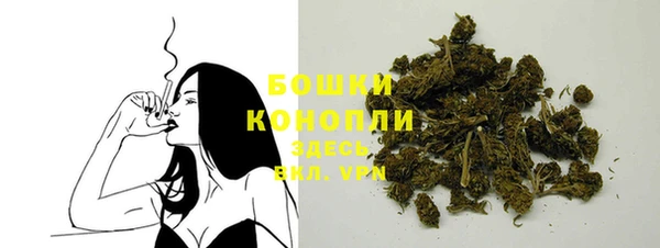 стаф Майский