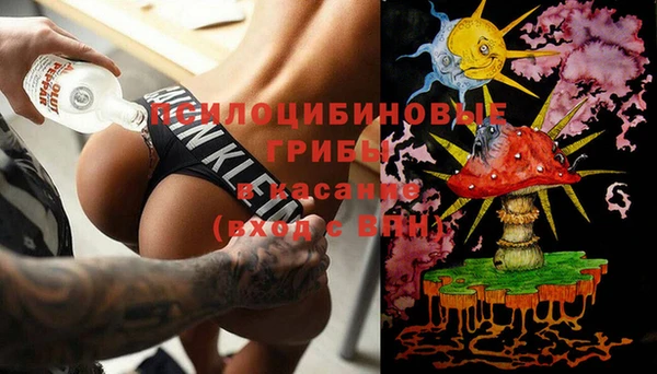 герыч Магас