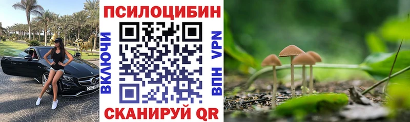 купить наркотики сайты  Хвалынск  Галлюциногенные грибы мухоморы 